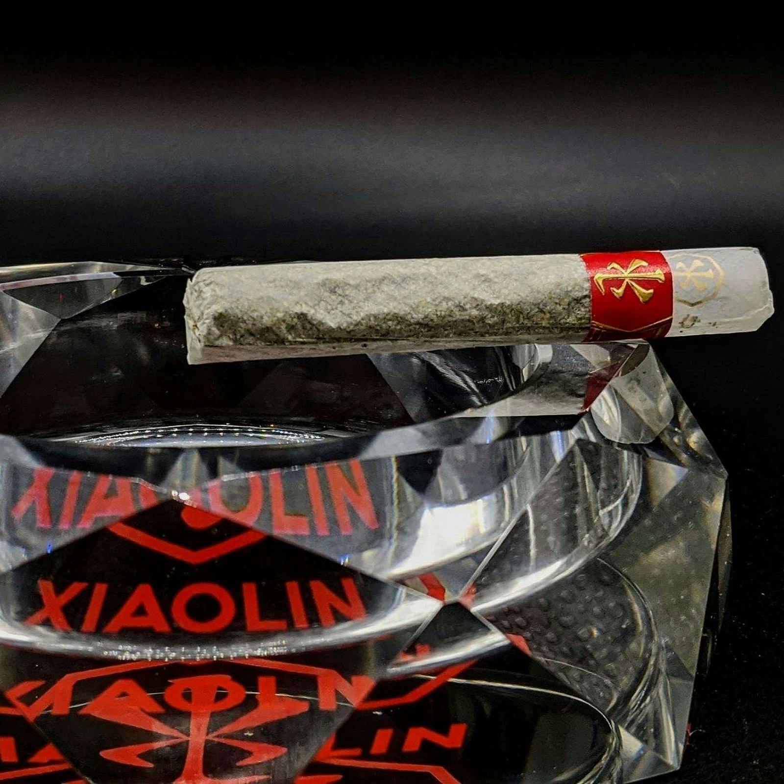 Xiaolin - Soldato - Tiramisu Cookies // Orange Creamsicle (Hybrid)